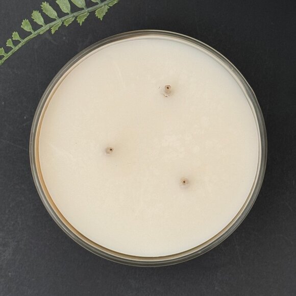 BBW Brown Sugar Coconut Bath & Body Works 3 Wick Candle - Picture 7 of 10